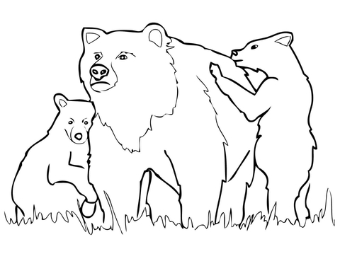 Grizzly Bear Mother And Cubs  Coloring Page